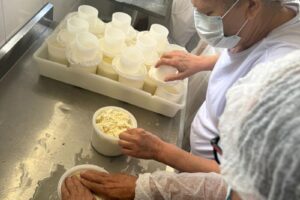 Curso prepara agroindústrias de queijo para regularização no ES