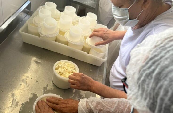 Curso prepara agroindústrias de queijo para regularização no ES