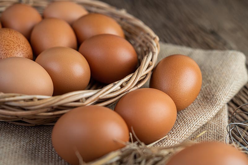 Preços dos ovos ficam estáveis na maioria das regiões