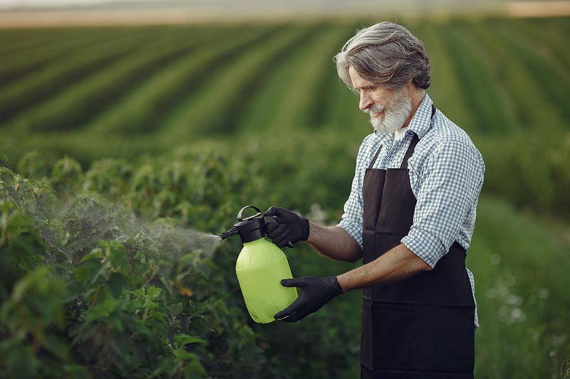 Exposição a agrotóxicos ameaça saúde de trabalhadores rurais