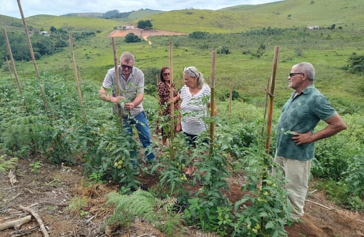 Agricultores de Ecoporanga avançam na produção orgânica como OCS