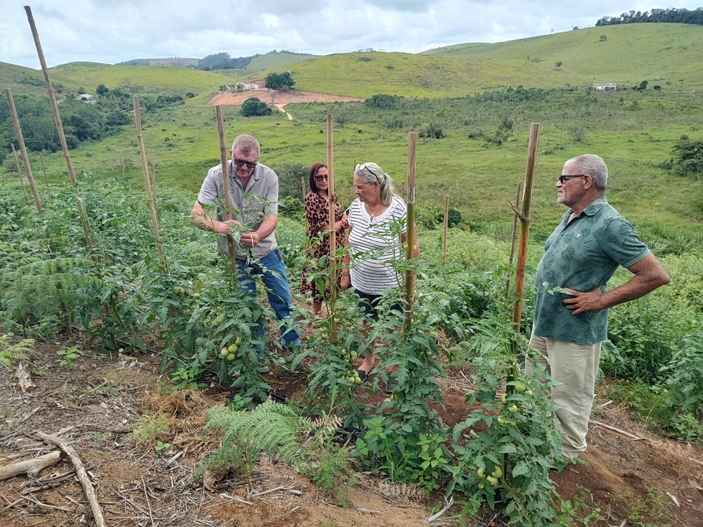 Agricultores de Ecoporanga avançam na produção orgânica como OCS