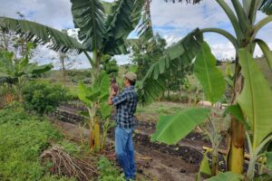 Tecendo sustentabilidade: o nascer da agroecologia em Ponto Belo