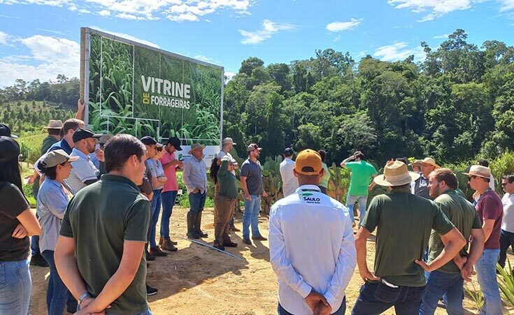 Pecuaristas melhoram produção e renda após capacitações no Incaper