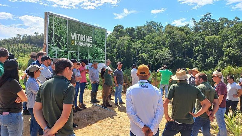 Pecuaristas melhoram produção e renda após capacitações no Incaper