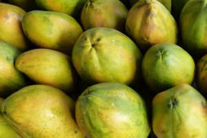 Confira a programação do 9º Simpósio do Papaya Brasileiro