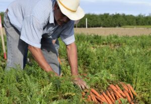 recuperação judicial