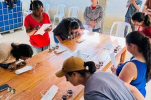 Mulheres do Café: cursos incentivam produção de cafés especiais