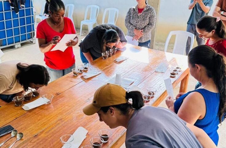 Mulheres do Café: cursos incentivam produção de cafés especiais