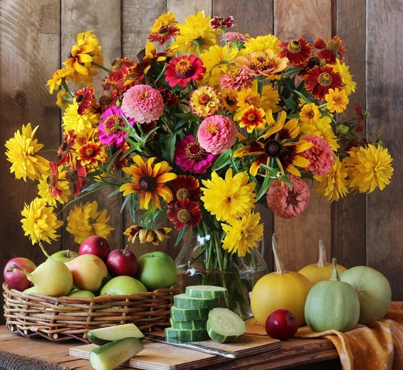 Setor quer que flores e plantas sejam reconhecidas como hortícolas