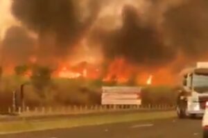 Polícia prende quinto suspeito de incêndios criminosos em SP