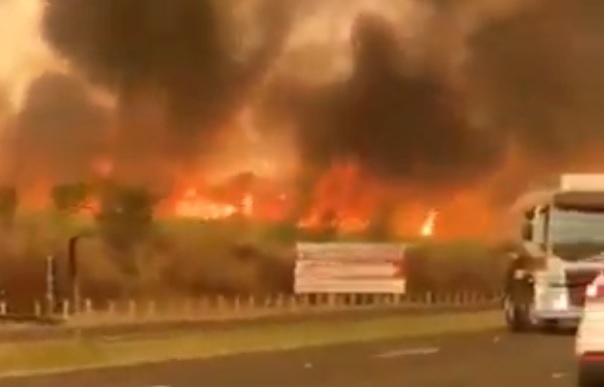 Polícia prende quinto suspeito de incêndios criminosos em SP