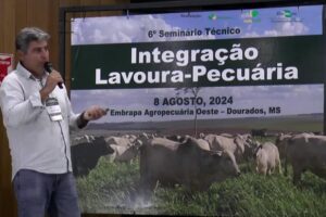 Produtor relata sucesso com estilosantes em área com solos arenosos