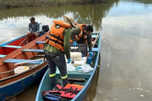 Iema recolhe água para investigar morte de peixes no Rio Santa Maria