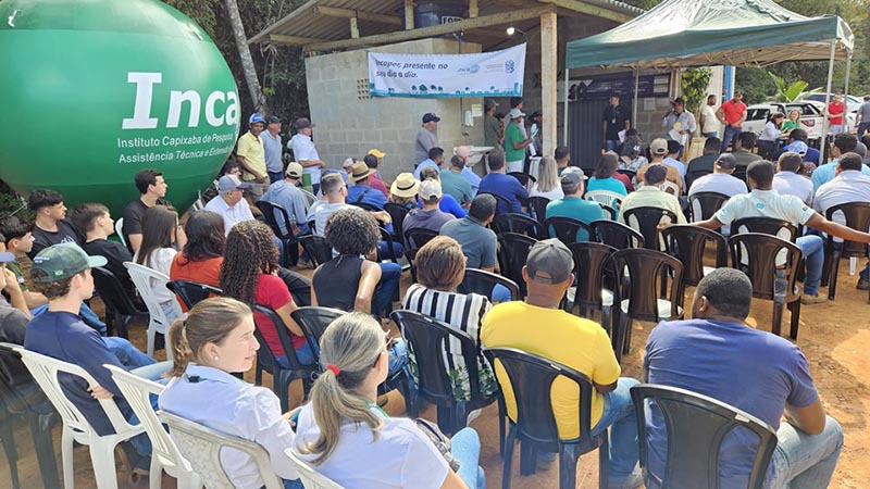 Dia de Campo orienta produtores de pimenta-do-reino