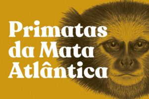 Exposição “Primatas da Mata Atlântica” é montada  em Santa Teresa