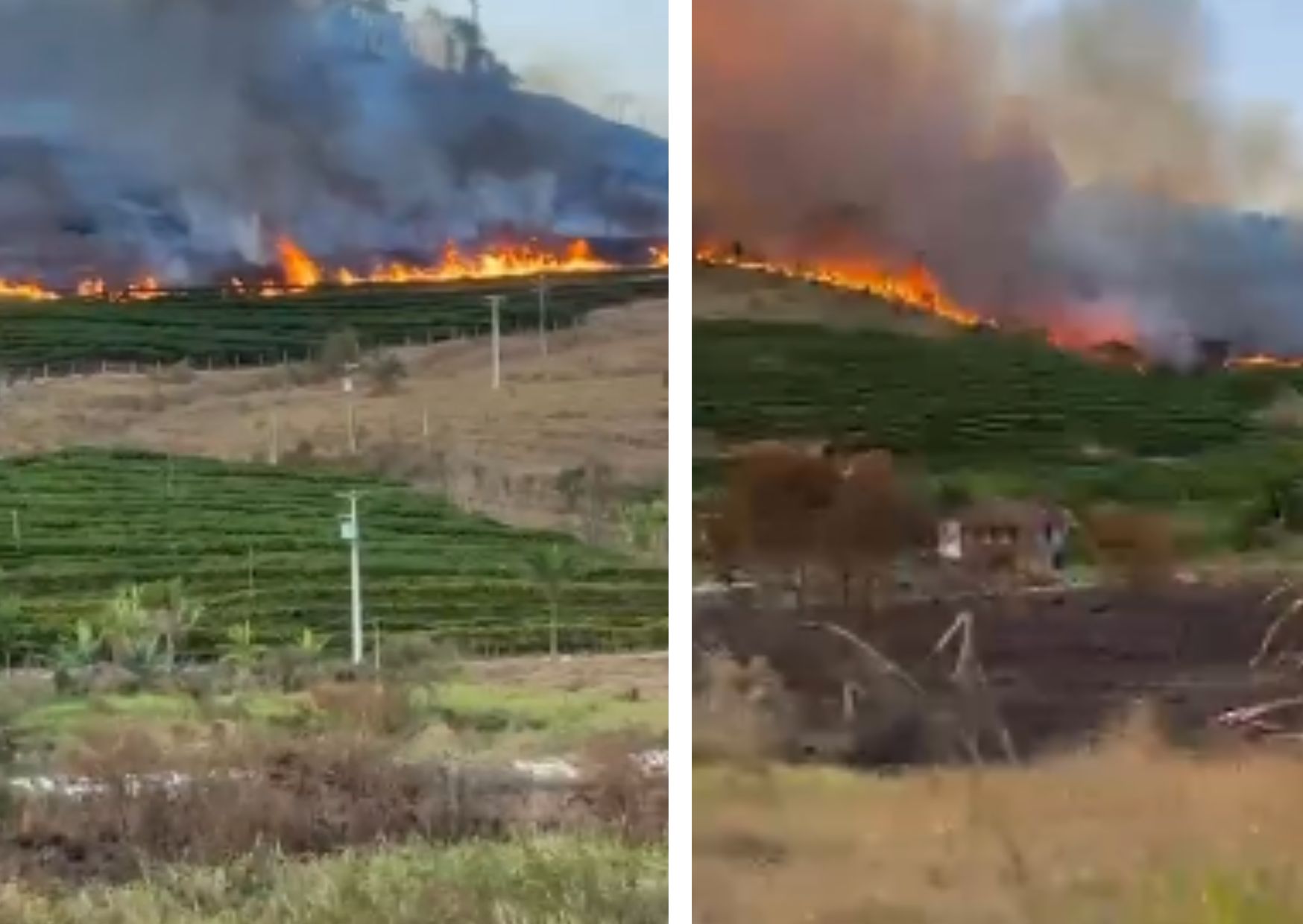 Incêndio atinge área próxima a cafezal em Mantenópolis