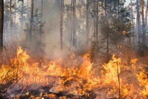 Drones podem ser utilizados para conter focos de incêndios?