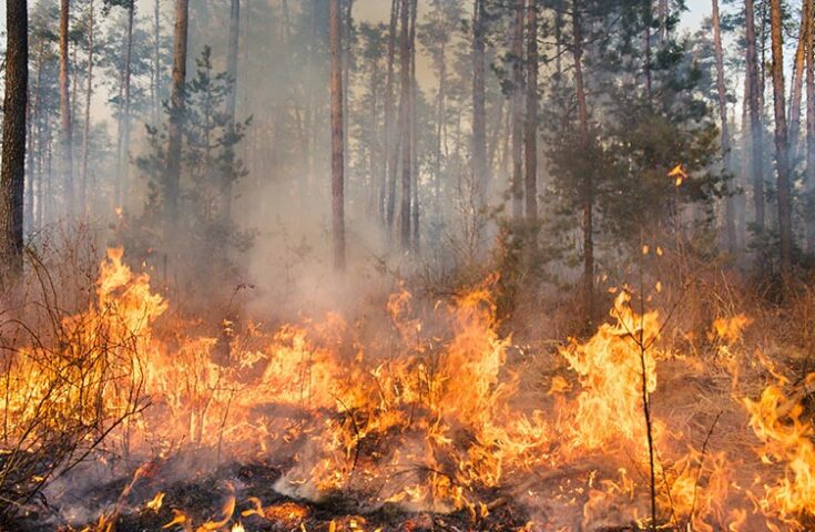 Drones podem ser utilizados para conter focos de incêndios?