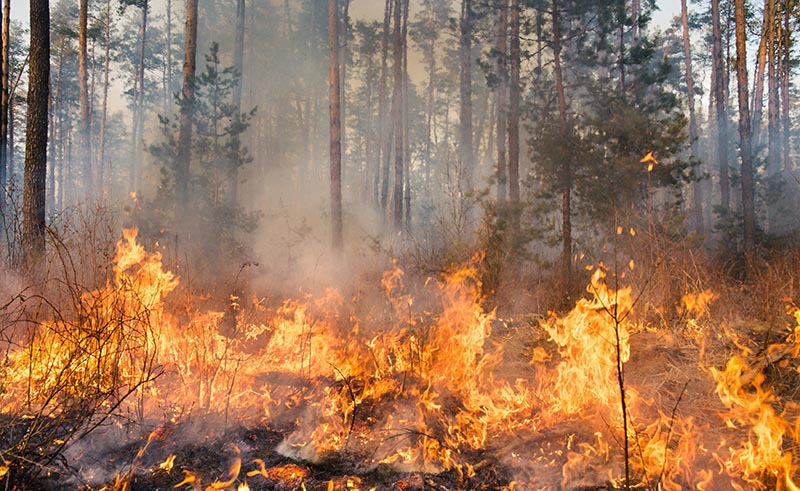 Drones podem ser utilizados para conter focos de incêndios?