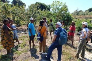 Tecnologias de Madagascar impulsionam pimenta-rosa capixaba