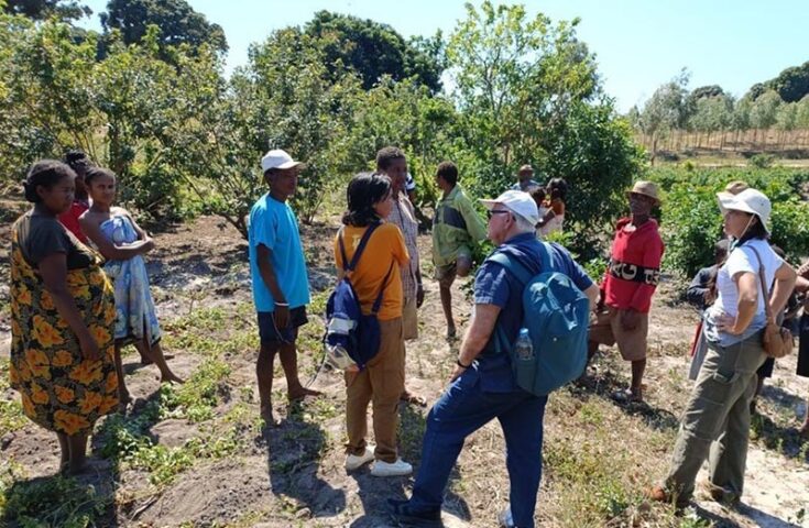 Tecnologias de Madagascar impulsionam pimenta-rosa capixaba