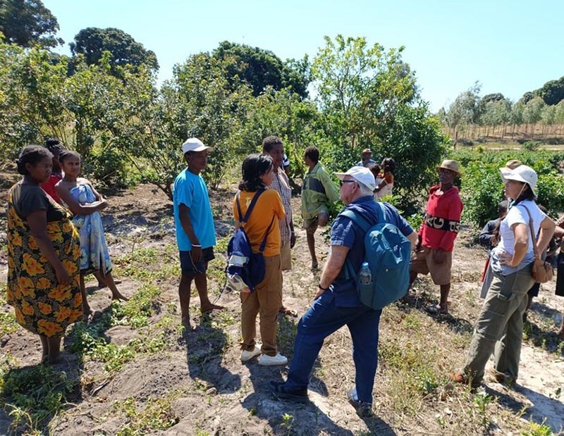 Tecnologias de Madagascar impulsionam pimenta-rosa capixaba