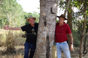 Iniciativa mostra potencial de floresta plantada para o ecossistema