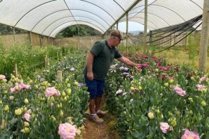 Primavera fluminense: Estado se destaca na produção de flores de corte