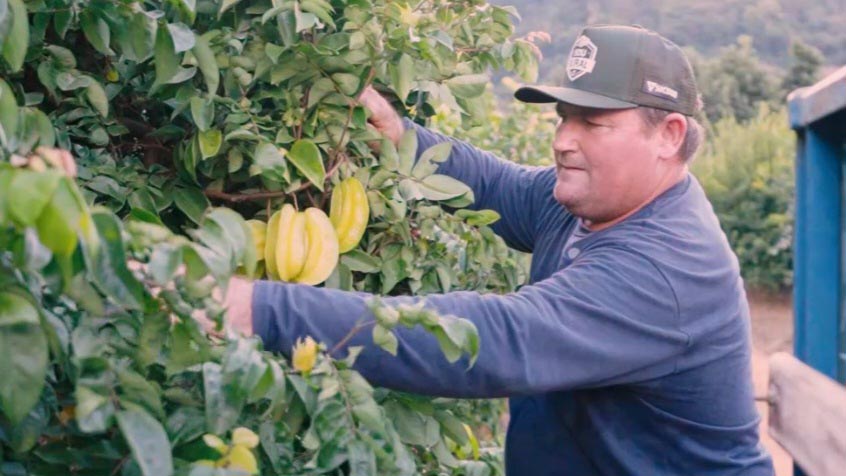 Produtor rural de Itarana ganha prêmio nacional de sustentabilidade