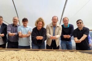 Do grão à sustentabilidade: a evolução da cafeicultura capixaba