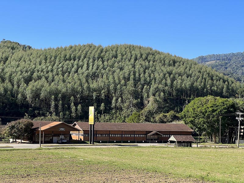 Espírito Madeira 2024 terá Dia de Campo na Fazenda Pindobas