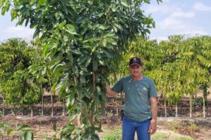 Café sustentável: zero glifosato, menos herbicida e mais grana