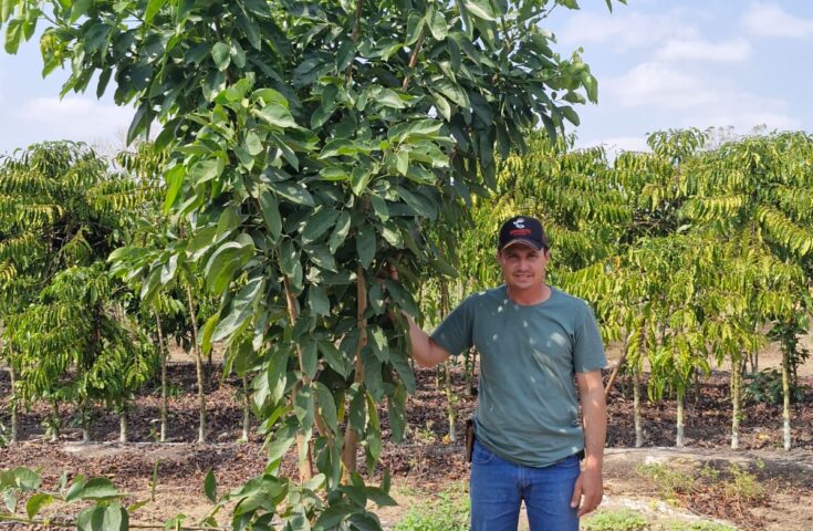 Café sustentável: zero glifosato, menos herbicida e mais grana