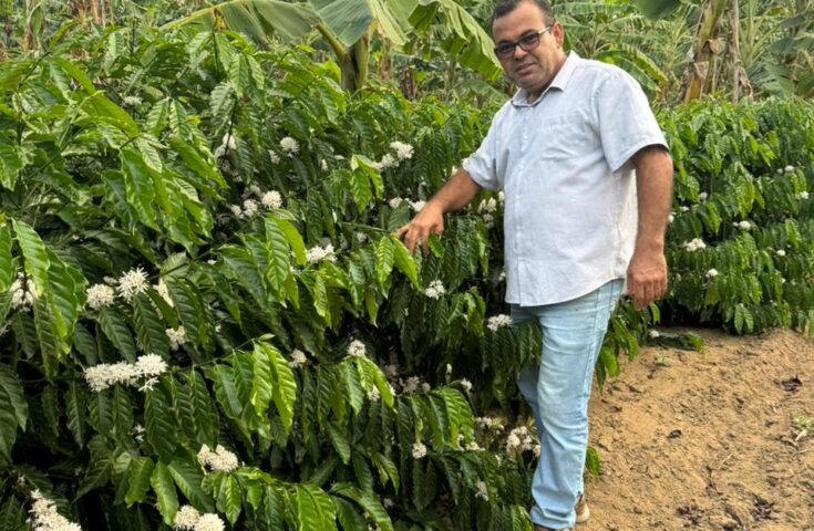 Produtor cria fertilizante orgânico que combate nematoide e fusário