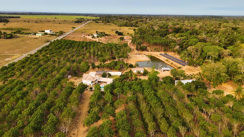 Linhares: Cacau Fest levará produtores para imersão na lavoura