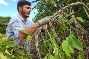 ES vai fomentar negócios com impacto socioambiental