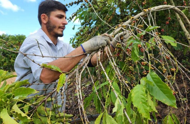 ES vai fomentar negócios com impacto socioambiental