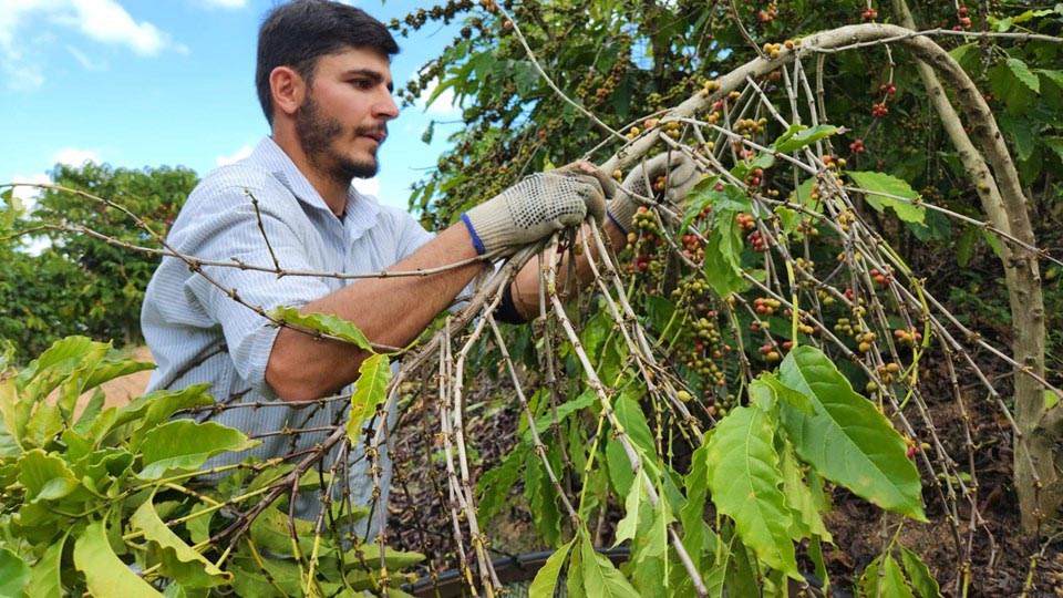 ES vai fomentar negócios com impacto socioambiental