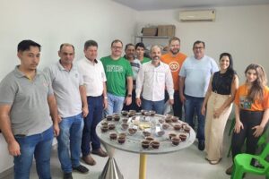 Ifes promove concurso para qualificar produção de café conilon