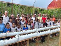 Produtores de morango recebem estufas em Colatina