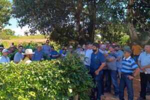 Produtores de Anchieta recebem mudas de maracujá, pupunha e mandioca