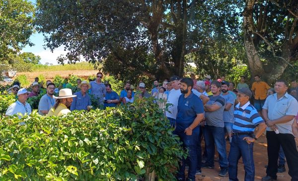 Produtores de Anchieta recebem mudas de maracujá, pupunha e mandioca