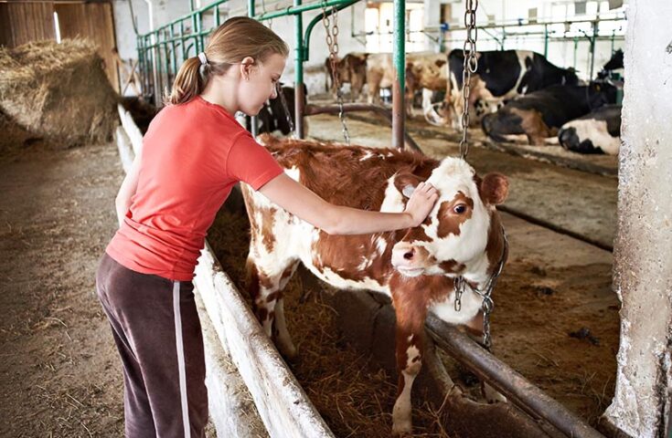 Projetos da Nater Coop e Selita fomentam a sucessão familiar