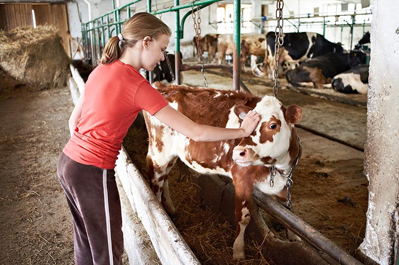 Projetos da Nater Coop e Selita fomentam a sucessão familiar