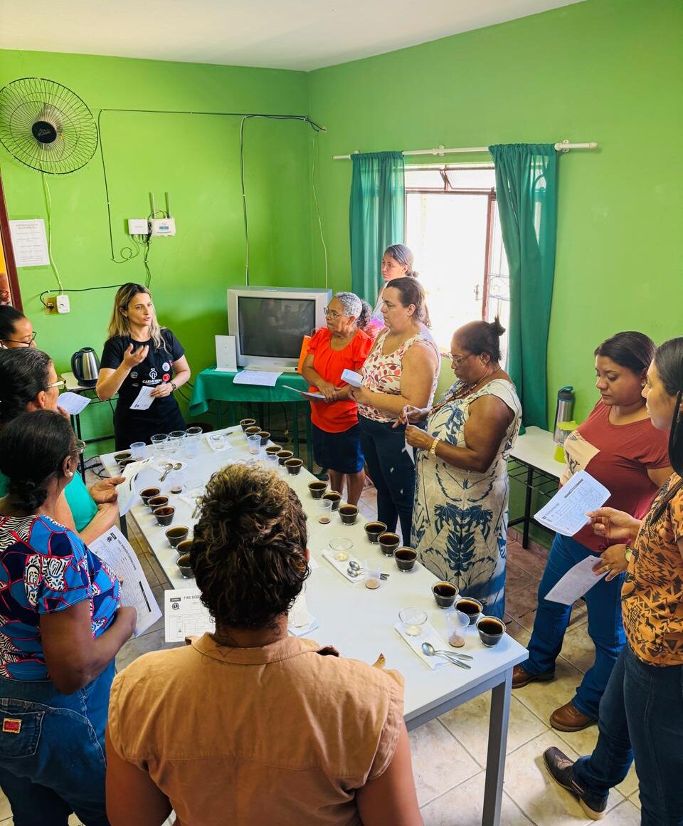 Produtoras rurais de Alegre participam de curso de qualidade do café