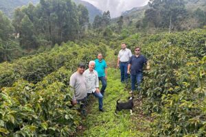 Prêmio Cafés Especiais do ES: finalistas passam por auditoria