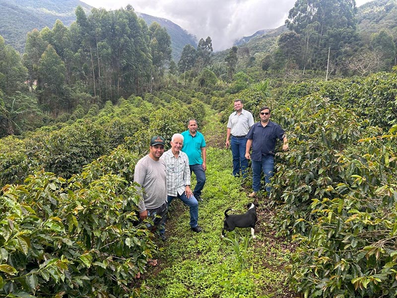 Prêmio Cafés Especiais do ES: finalistas passam por auditoria