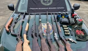 caça ilegal armas luneta paca congelada