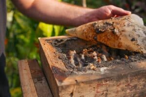 Ifes Santa Teresa abre inscrições para curso de meliponicultura Ifes Santa Teresa abre inscrições para curso de meliponicultura